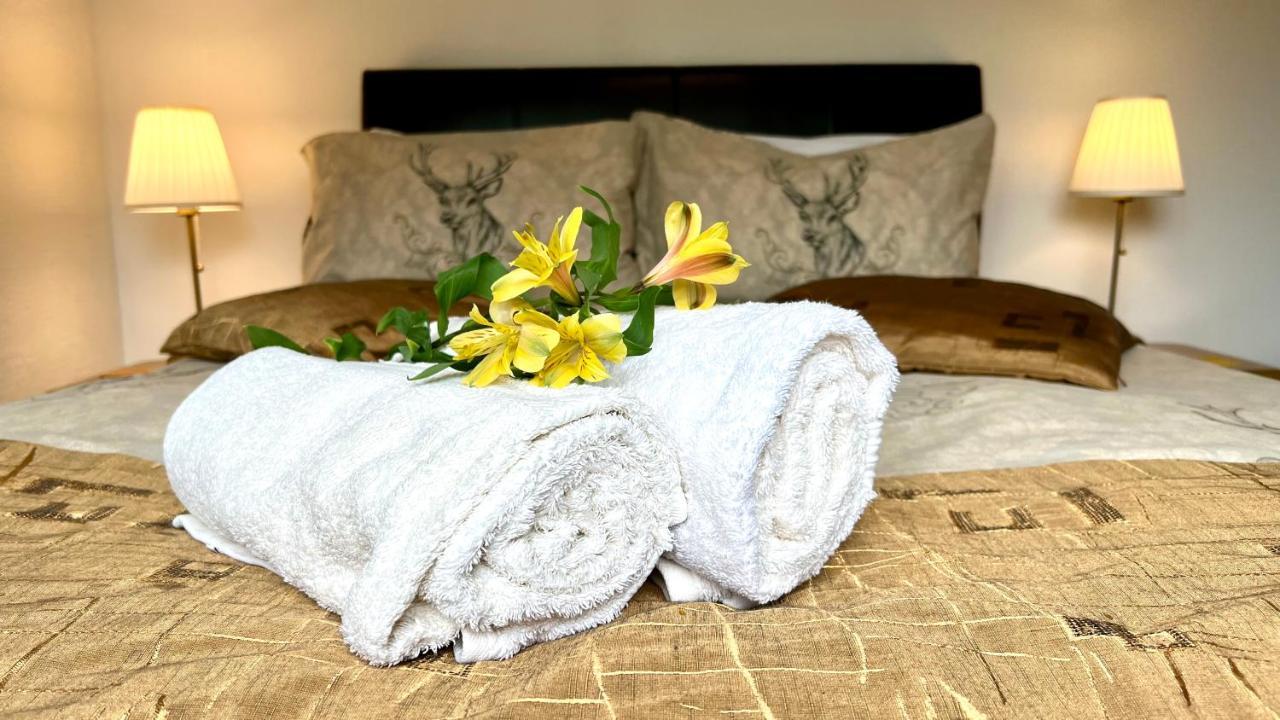 Old Captain Guest House بورتري المظهر الخارجي الصورة