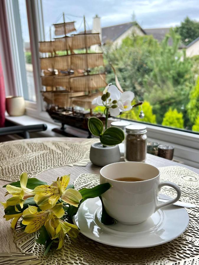 Old Captain Guest House بورتري المظهر الخارجي الصورة